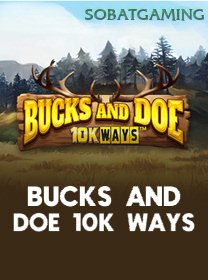 Bucks And Doe 10K Ways icon